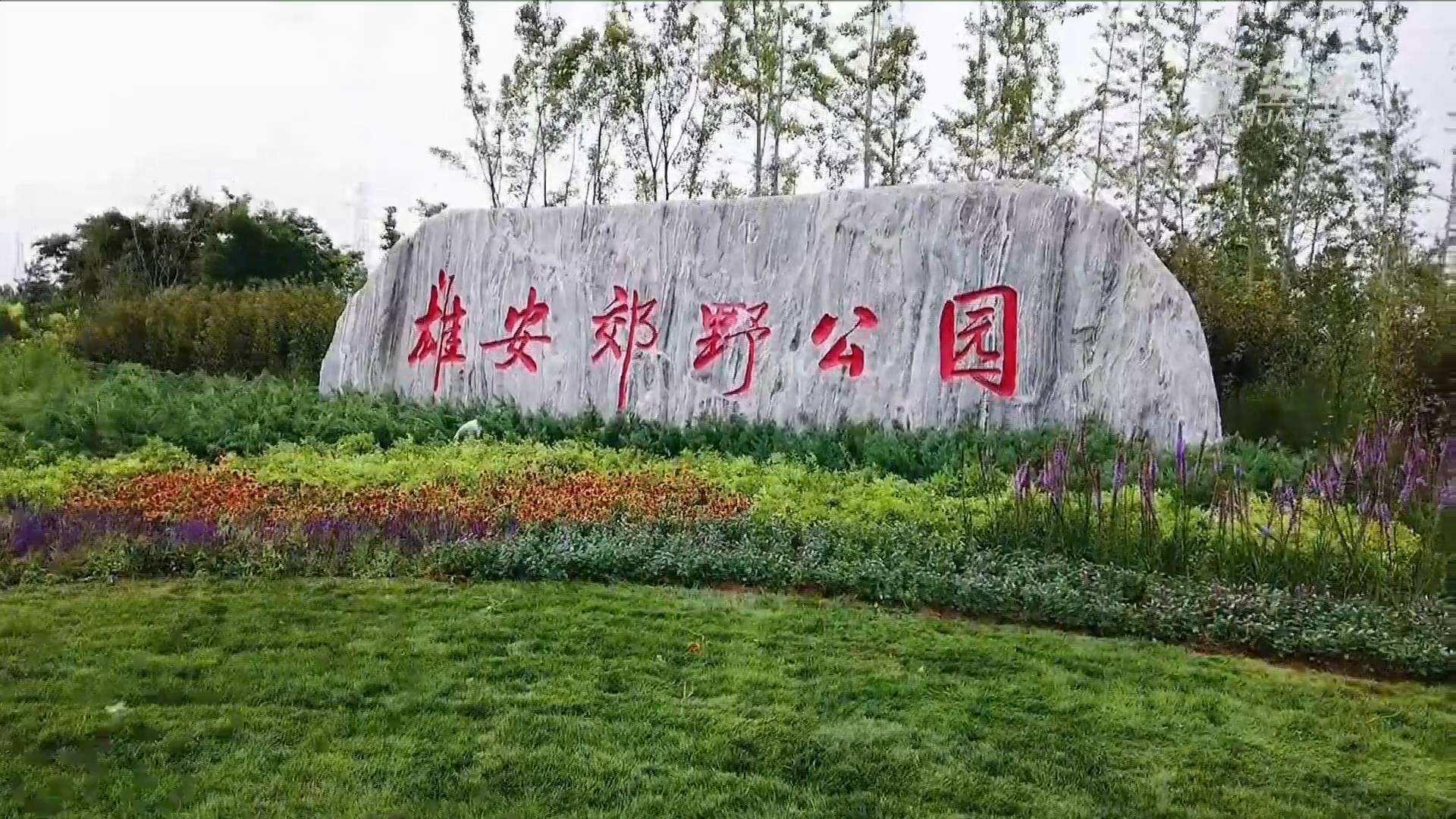 j9国际集团电气雄安郊外公园建设工程及配套设施项目